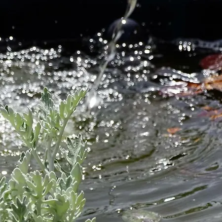 Rider Gæstehus Balatonszárszó